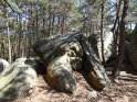 2017-06-01 15-36-52 Rando Fontainebleau DLe